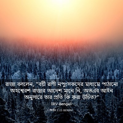 Picture 03 - ইষ্টেৰ 1:15 BENIRV - রাজা বললেন, “বষ্টী - Bible Verse Picture
