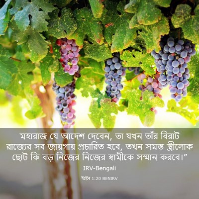 Picture 03 - ইষ্টেৰ 1:20 BENIRV - মহারাজ যে আদেশ - Bible Verse Picture