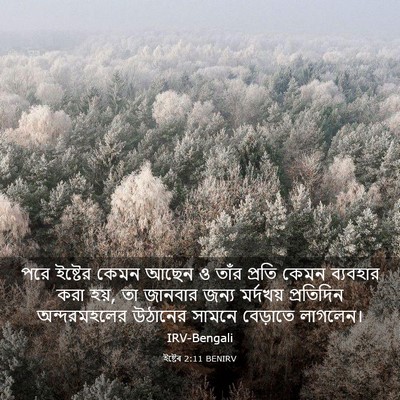Picture 03 - ইষ্টেৰ 2:11 BENIRV - পরে ইষ্টের কেমন - Bible Verse Picture