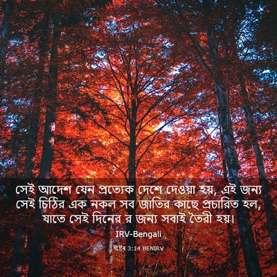 Picture 03 - ইষ্টেৰ 3:14 BENIRV - সেই আদেশ যেন - Bible Verse Picture