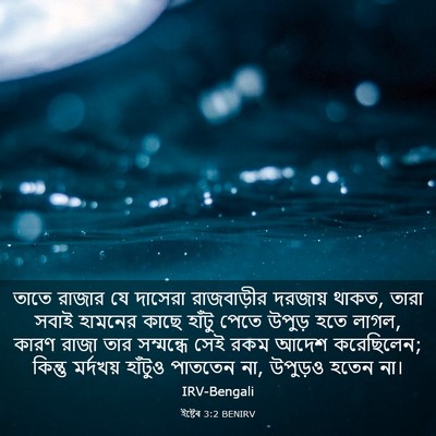 Picture 03 - ইষ্টেৰ 3:2 BENIRV - তাতে রাজার যে - Bible Verse Picture