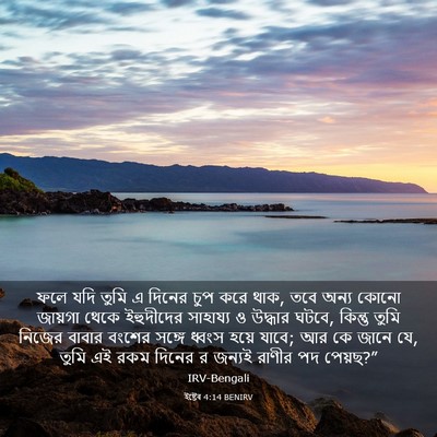 Picture 03 - ইষ্টেৰ 4:14 BENIRV - ফলে যদি তুমি এ - Bible Verse Picture