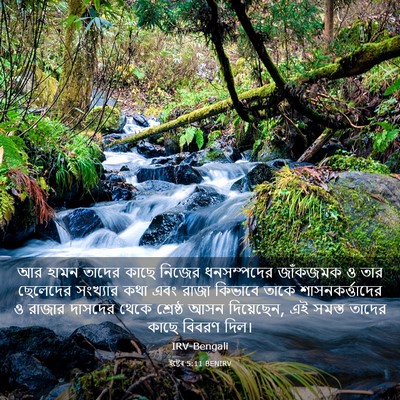 Picture 03 - ইষ্টেৰ 5:11 BENIRV - আর হামন তাদের কাছে - Bible Verse Picture