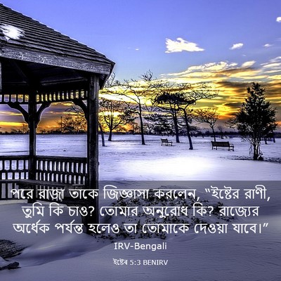 Picture 03 - ইষ্টেৰ 5:3 BENIRV - পরে রাজা তাকে - Bible Verse Picture