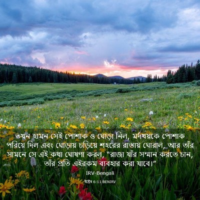 Picture 03 - ইষ্টেৰ 6:11 BENIRV - তখন হামন সেই পোশাক - Bible Verse Picture