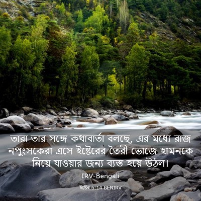 Picture 03 - ইষ্টেৰ 6:14 BENIRV - তারা তার সঙ্গে - Bible Verse Picture