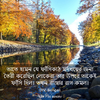 Picture 03 - ইষ্টেৰ 7:10 BENIRV - তাতে হামন যে - Bible Verse Picture