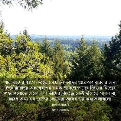 Picture 03 - ইষ্টেৰ 9:2 BENIRV - যারা তাদের ধ্বংস - Bible Verse Picture