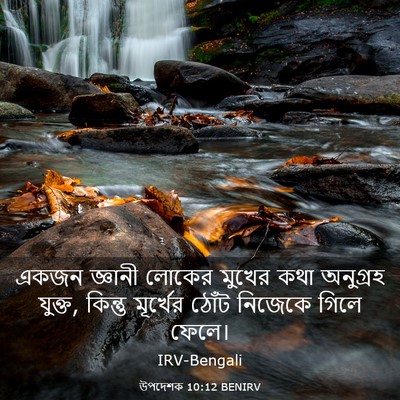 Picture 03 - উপদেশক 10:12 BENIRV - একজন জ্ঞানী লোকের - Bible Verse Picture