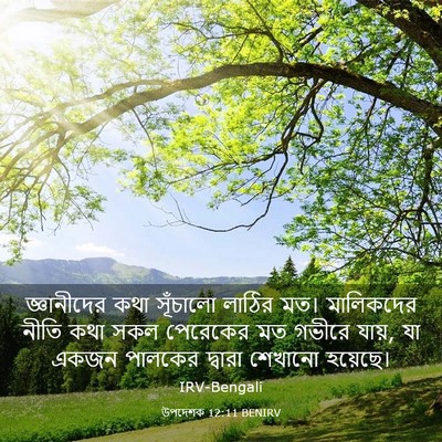 Picture 03 - উপদেশক 12:11 BENIRV - জ্ঞানীদের কথা - Bible Verse Picture