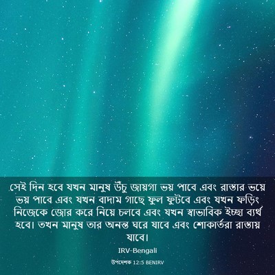 Picture 03 - উপদেশক 12:5 BENIRV - সেই দিন হবে যখন - Bible Verse Picture