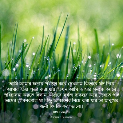 Picture 03 - উপদেশক 2:3 BENIRV - আমি আমার হৃদয়ে - Bible Verse Picture