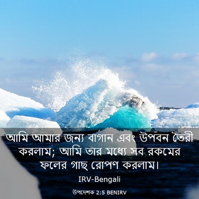 Picture 03 - উপদেশক 2:5 BENIRV - আমি আমার জন্য - Bible Verse Picture