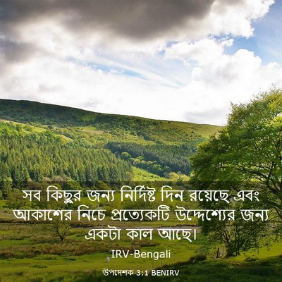 Picture 03 - উপদেশক 3:1 BENIRV - সব কিছুর জন্য - Bible Verse Picture