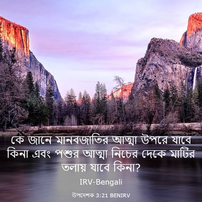 Picture 03 - উপদেশক 3:21 BENIRV - কে জানে মানবজাতির - Bible Verse Picture