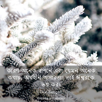 Picture 03 - উপদেশক 5:7 BENIRV - কারণ অনেক স্বপনে - Bible Verse Picture