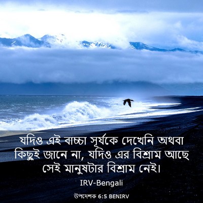 Picture 03 - উপদেশক 6:5 BENIRV - যদিও এই বাচ্চা - Bible Verse Picture