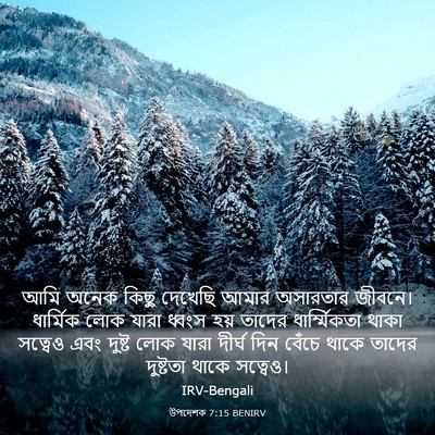 Picture 03 - উপদেশক 7:15 BENIRV - আমি অনেক কিছু - Bible Verse Picture