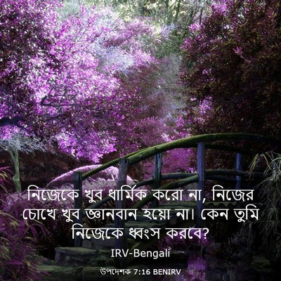Picture 03 - উপদেশক 7:16 BENIRV - নিজেকে খুব - Bible Verse Picture