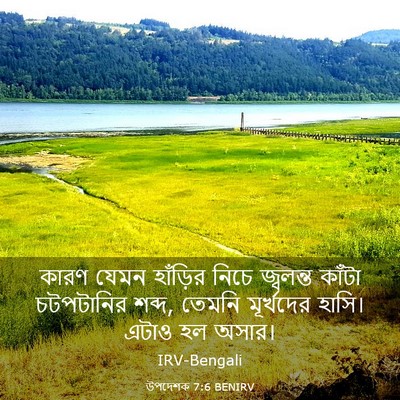 Picture 03 - উপদেশক 7:6 BENIRV - কারণ যেমন হাঁড়ির - Bible Verse Picture