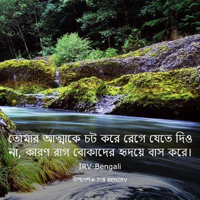 Picture 03 - উপদেশক 7:9 BENIRV - তোমার আত্মাকে চট - Bible Verse Picture