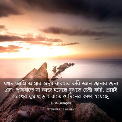 Picture 03 - উপদেশক 8:16 BENIRV - যখন আমি আমার হৃদয় - Bible Verse Picture