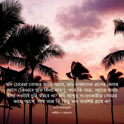 Picture 03 - ওবদিয়া 1:5 BENIRV - যদি চোরেরা তোমার - Bible Verse Picture