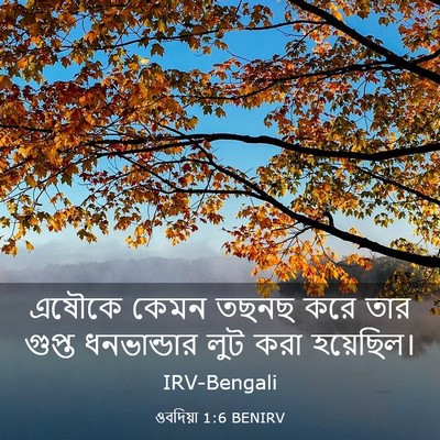 Picture 03 - ওবদিয়া 1:6 BENIRV - এষৌকে কেমন তছনছ - Bible Verse Picture