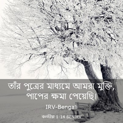Picture 03 - কলচীয়া 1:14 BENIRV - তাঁর পুত্রের - Bible Verse Picture