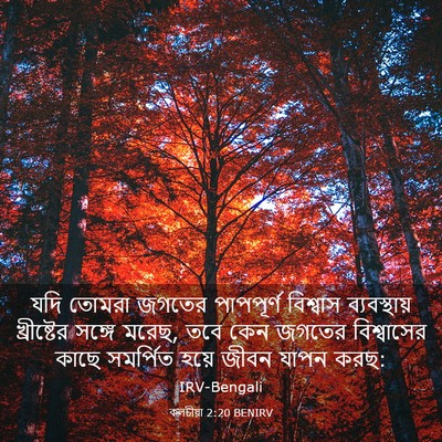 Picture 03 - কলচীয়া 2:20 BENIRV - যদি তোমরা জগতের - Bible Verse Picture