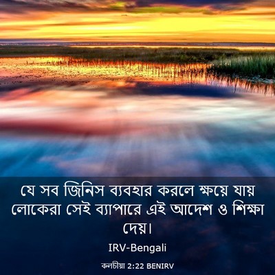 Picture 03 - কলচীয়া 2:22 BENIRV - যে সব জিনিস - Bible Verse Picture