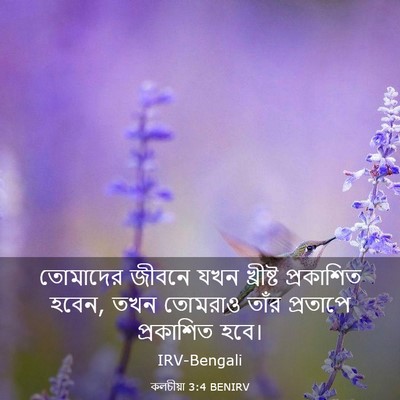 Picture 03 - কলচীয়া 3:4 BENIRV - তোমাদের জীবনে যখন - Bible Verse Picture
