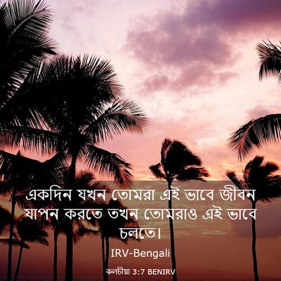 Picture 03 - কলচীয়া 3:7 BENIRV - একদিন যখন তোমরা এই - Bible Verse Picture