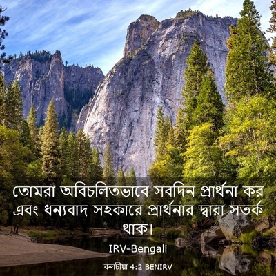 Picture 03 - কলচীয়া 4:2 BENIRV - তোমরা অবিচলিতভাবে - Bible Verse Picture