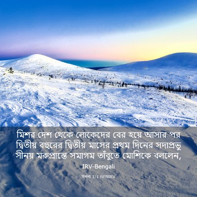 Picture 03 - গননা 1:1 BENIRV - মিশর দেশ থেকে - Bible Verse Picture