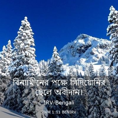 Picture 03 - গননা 1:11 BENIRV - বিন্যামীনের পক্ষে - Bible Verse Picture