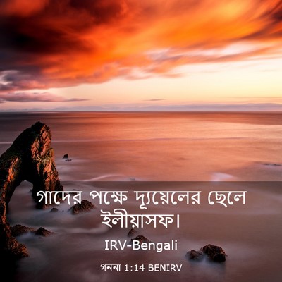 Picture 03 - গননা 1:14 BENIRV - গাদের পক্ষে - Bible Verse Picture