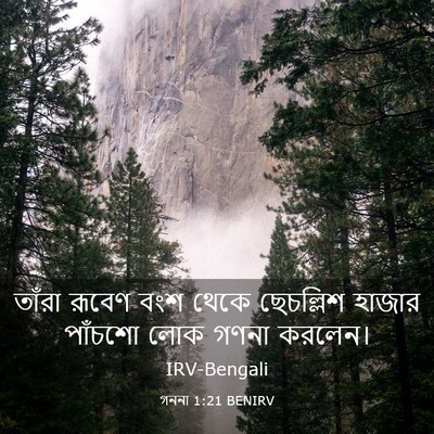 Picture 03 - গননা 1:21 BENIRV - তাঁরা রূবেণ বংশ - Bible Verse Picture