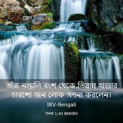 Picture 03 - গননা 1:43 BENIRV - তাঁরা নপ্তালি বংশ - Bible Verse Picture