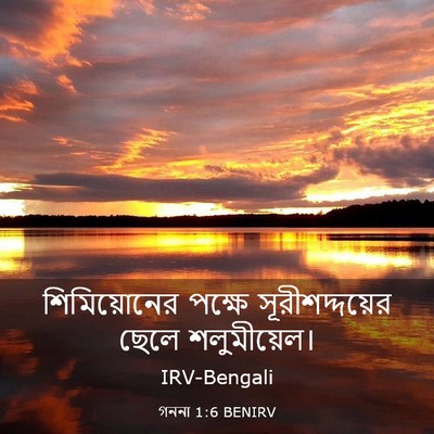 Picture 03 - গননা 1:6 BENIRV - শিমিয়োনের পক্ষে - Bible Verse Picture
