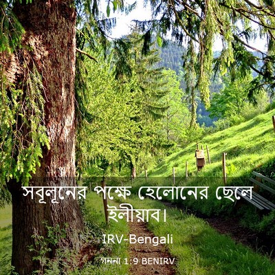 Picture 03 - গননা 1:9 BENIRV - সবূলূনের পক্ষে - Bible Verse Picture