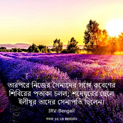 Picture 03 - গননা 10:18 BENIRV - তারপরে নিজের - Bible Verse Picture