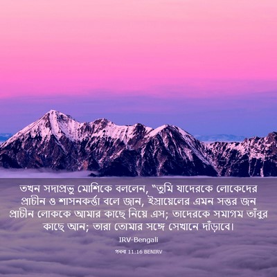 Picture 03 - গননা 11:16 BENIRV - তখন সদাপ্রভু - Bible Verse Picture