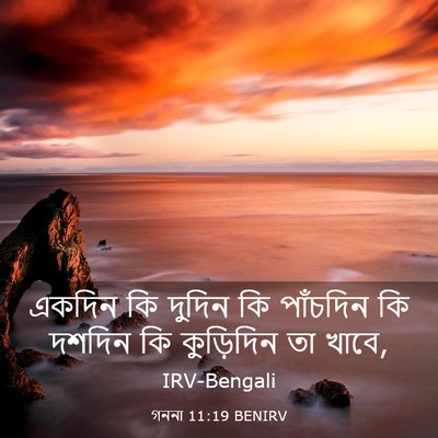 Picture 03 - গননা 11:19 BENIRV - একদিন কি দুদিন কি - Bible Verse Picture