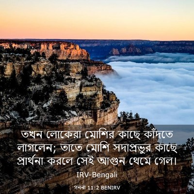 Picture 03 - গননা 11:2 BENIRV - তখন লোকেরা মোশির - Bible Verse Picture