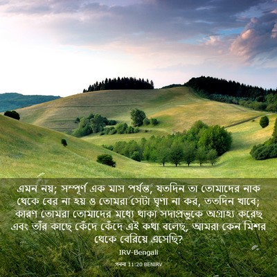 Picture 03 - গননা 11:20 BENIRV - এমন নয়; সম্পূর্ণ - Bible Verse Picture