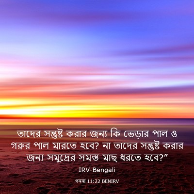 Picture 03 - গননা 11:22 BENIRV - তাদের সন্তুষ্ট - Bible Verse Picture