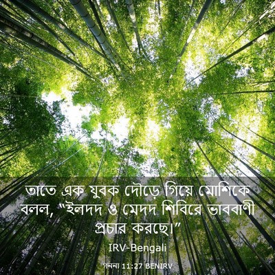 Picture 03 - গননা 11:27 BENIRV - তাতে এক যুবক দৌড়ে - Bible Verse Picture