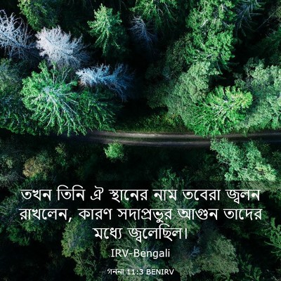 Picture 03 - গননা 11:3 BENIRV - তখন তিনি ঐ স্থানের - Bible Verse Picture