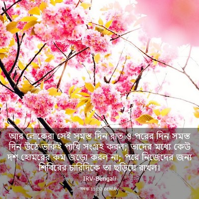 Picture 03 - গননা 11:32 BENIRV - আর লোকেরা সেই - Bible Verse Picture